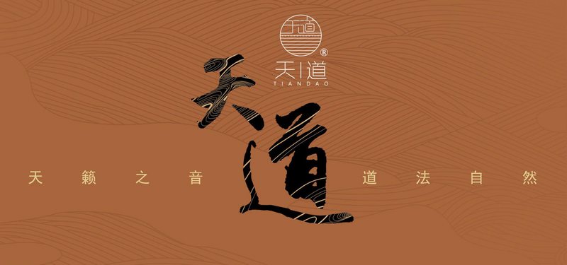 扬州天道民族乐器有限公司